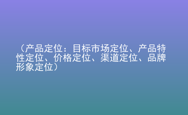  （產(chǎn)品定位：目標市場定位、產(chǎn)品特性定位、價格定位、渠道定位、品牌形象定位）